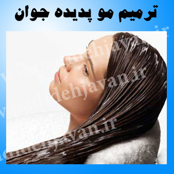 ترمیم مو